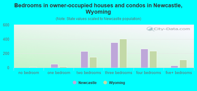 Bedrooms in owner-occupied houses and condos in Newcastle, Wyoming