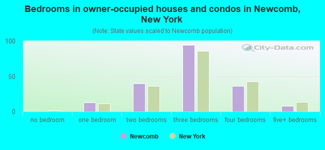 Bedrooms in owner-occupied houses and condos in Newcomb, New York