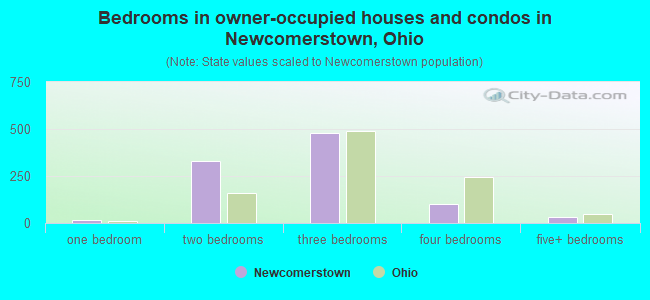 Bedrooms in owner-occupied houses and condos in Newcomerstown, Ohio