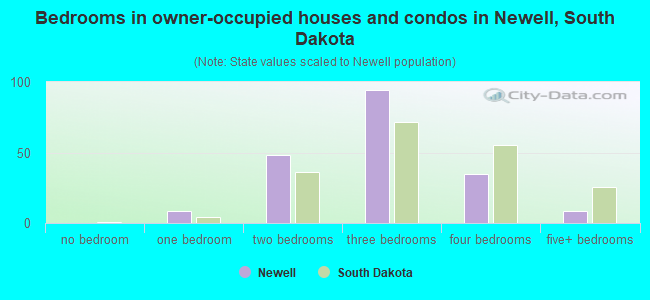 Bedrooms in owner-occupied houses and condos in Newell, South Dakota