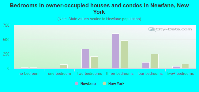 Bedrooms in owner-occupied houses and condos in Newfane, New York