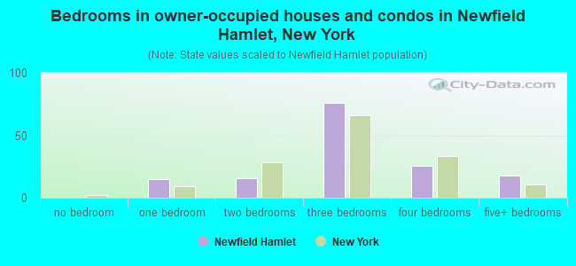 Bedrooms in owner-occupied houses and condos in Newfield Hamlet, New York