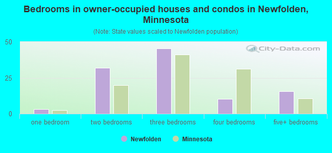 Bedrooms in owner-occupied houses and condos in Newfolden, Minnesota