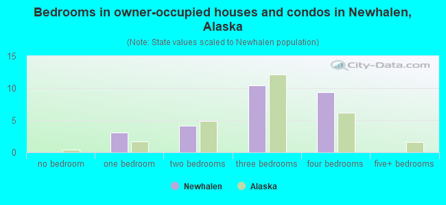 Bedrooms in owner-occupied houses and condos in Newhalen, Alaska