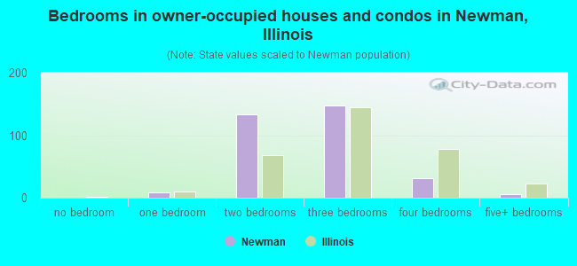 Bedrooms in owner-occupied houses and condos in Newman, Illinois