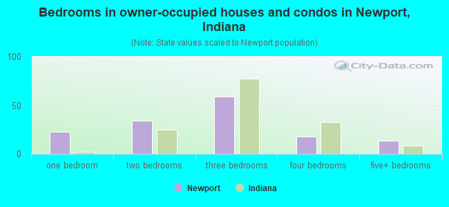 Bedrooms in owner-occupied houses and condos in Newport, Indiana