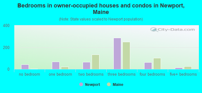 Bedrooms in owner-occupied houses and condos in Newport, Maine