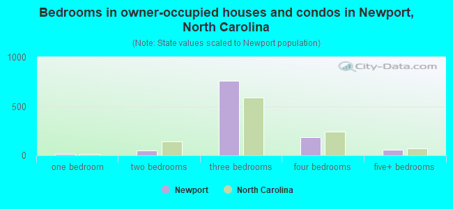 Bedrooms in owner-occupied houses and condos in Newport, North Carolina