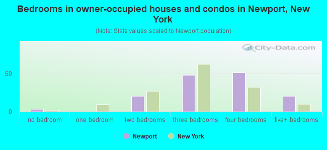 Bedrooms in owner-occupied houses and condos in Newport, New York