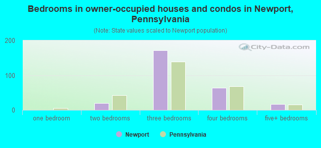 Bedrooms in owner-occupied houses and condos in Newport, Pennsylvania