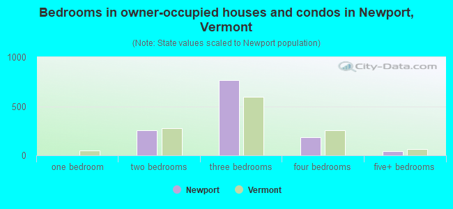 Bedrooms in owner-occupied houses and condos in Newport, Vermont