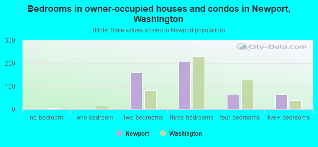 Bedrooms in owner-occupied houses and condos in Newport, Washington