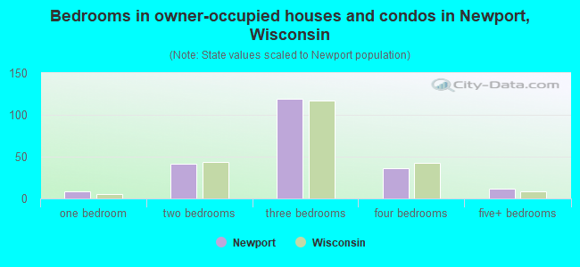 Bedrooms in owner-occupied houses and condos in Newport, Wisconsin