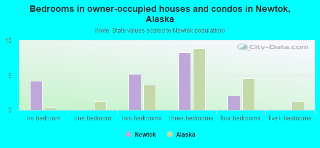 Bedrooms in owner-occupied houses and condos in Newtok, Alaska