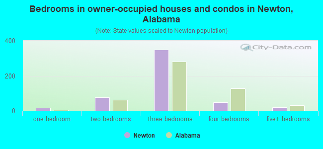 Bedrooms in owner-occupied houses and condos in Newton, Alabama