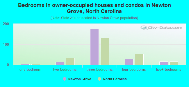 Bedrooms in owner-occupied houses and condos in Newton Grove, North Carolina