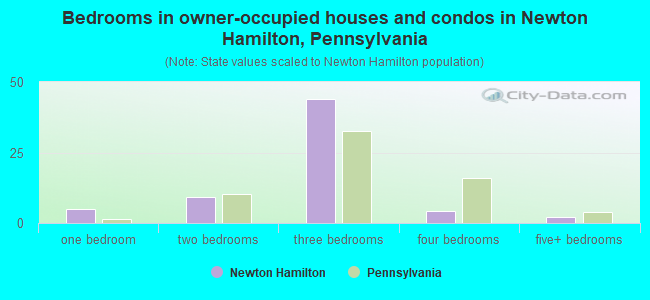 Bedrooms in owner-occupied houses and condos in Newton Hamilton, Pennsylvania