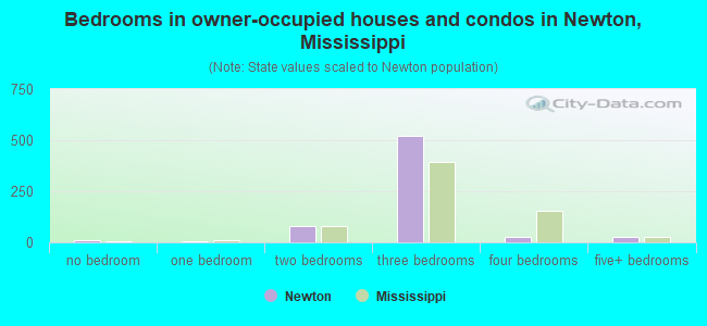 Bedrooms in owner-occupied houses and condos in Newton, Mississippi