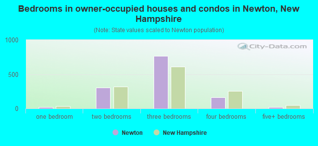 Bedrooms in owner-occupied houses and condos in Newton, New Hampshire
