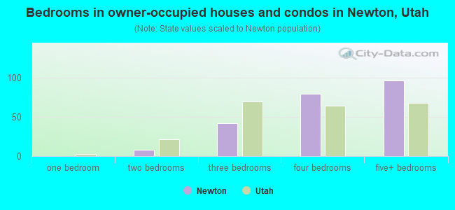 Bedrooms in owner-occupied houses and condos in Newton, Utah