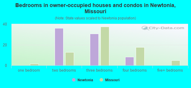 Bedrooms in owner-occupied houses and condos in Newtonia, Missouri