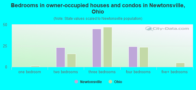 Bedrooms in owner-occupied houses and condos in Newtonsville, Ohio