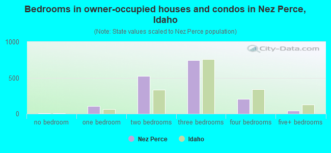 Bedrooms in owner-occupied houses and condos in Nez Perce, Idaho