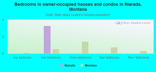 Bedrooms in owner-occupied houses and condos in Niarada, Montana