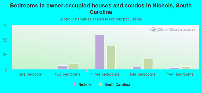 Bedrooms in owner-occupied houses and condos in Nichols, South Carolina