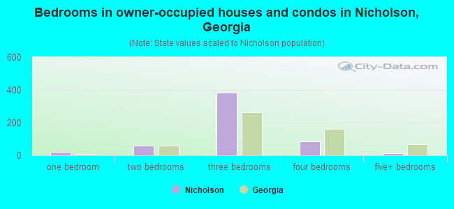 Bedrooms in owner-occupied houses and condos in Nicholson, Georgia