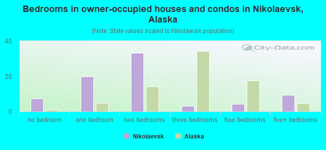 Bedrooms in owner-occupied houses and condos in Nikolaevsk, Alaska