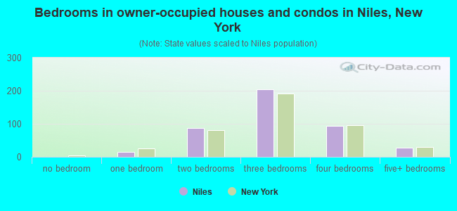Bedrooms in owner-occupied houses and condos in Niles, New York