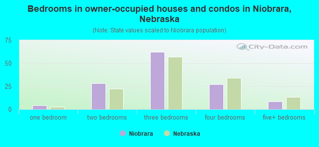 Bedrooms in owner-occupied houses and condos in Niobrara, Nebraska