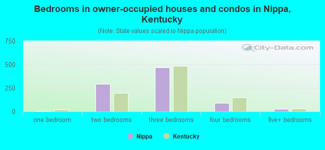 Bedrooms in owner-occupied houses and condos in Nippa, Kentucky