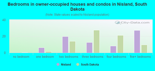 Bedrooms in owner-occupied houses and condos in Nisland, South Dakota
