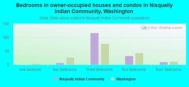 Bedrooms in owner-occupied houses and condos in Nisqually Indian Community, Washington