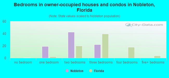 Bedrooms in owner-occupied houses and condos in Nobleton, Florida