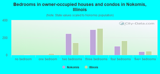 Bedrooms in owner-occupied houses and condos in Nokomis, Illinois