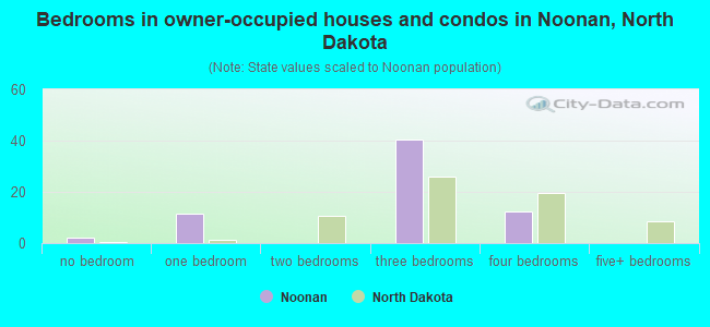 Bedrooms in owner-occupied houses and condos in Noonan, North Dakota
