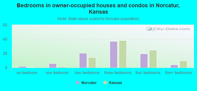 Bedrooms in owner-occupied houses and condos in Norcatur, Kansas