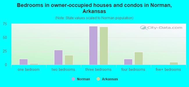 Bedrooms in owner-occupied houses and condos in Norman, Arkansas