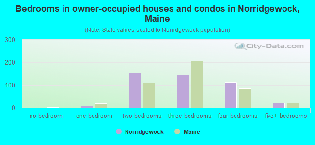 Bedrooms in owner-occupied houses and condos in Norridgewock, Maine