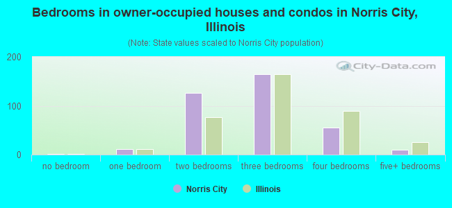 Bedrooms in owner-occupied houses and condos in Norris City, Illinois