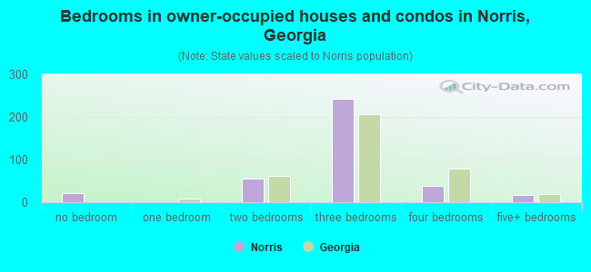Bedrooms in owner-occupied houses and condos in Norris, Georgia