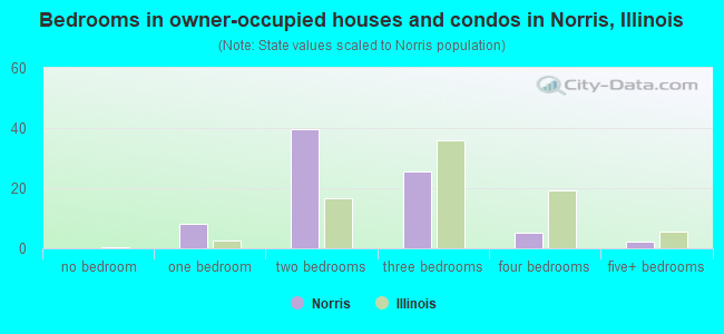 Bedrooms in owner-occupied houses and condos in Norris, Illinois