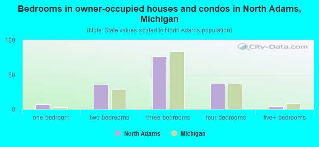 Bedrooms in owner-occupied houses and condos in North Adams, Michigan