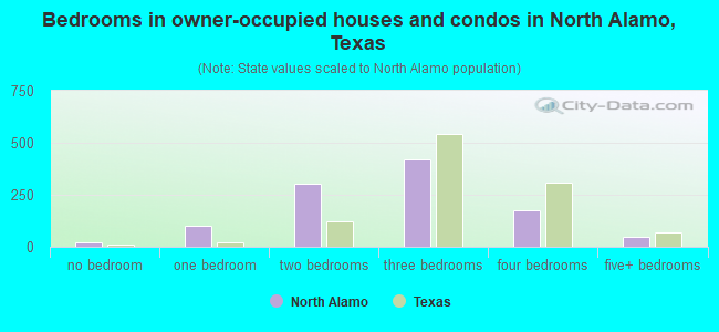 Bedrooms in owner-occupied houses and condos in North Alamo, Texas