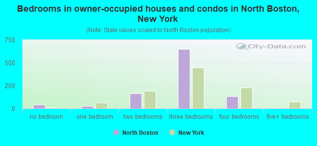 Bedrooms in owner-occupied houses and condos in North Boston, New York