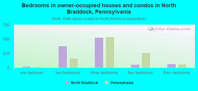 Bedrooms in owner-occupied houses and condos in North Braddock, Pennsylvania