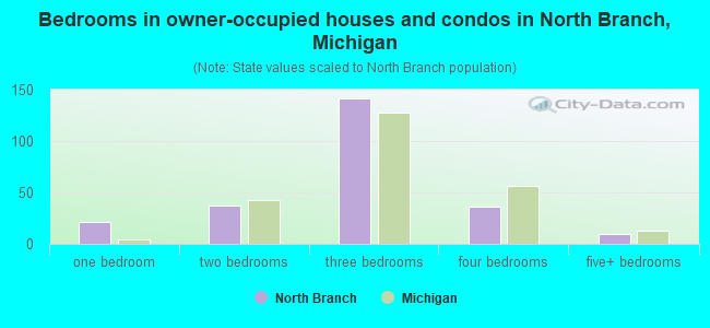 Bedrooms in owner-occupied houses and condos in North Branch, Michigan